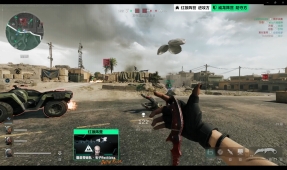 入成年人的 入成年人的