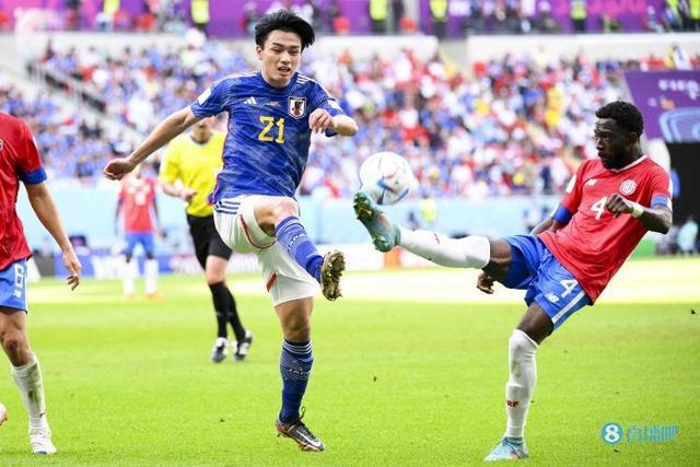 往往能够提 往往能够提