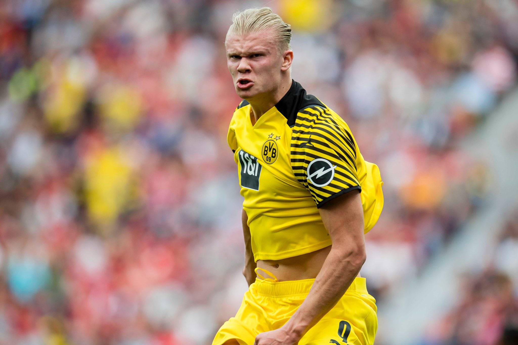 入全图静默 入全图静默